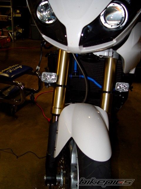 2008 TRIUMPH TIGER | Picture 1775990 motorcycle photo