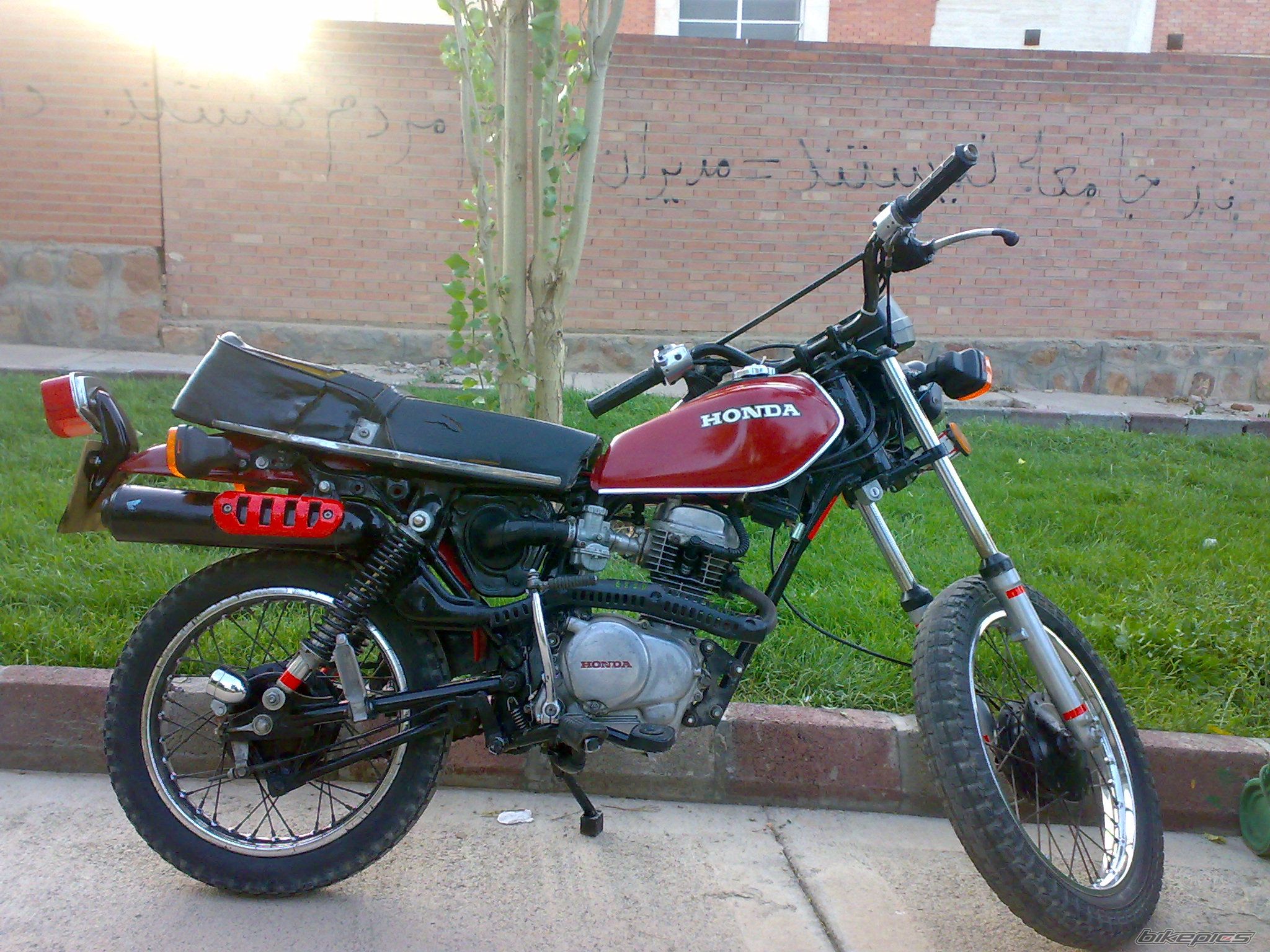 1980 HONDA XL 80 | Picture 1776207 motorcycle photo