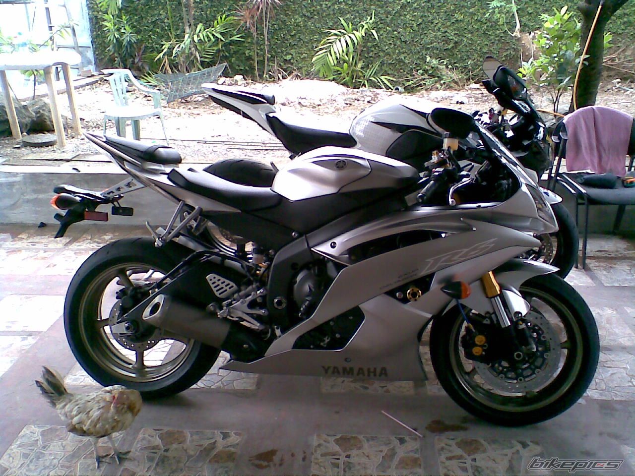 2008 YAMAHA YZF R6 | Picture 1776579 motorcycle photo