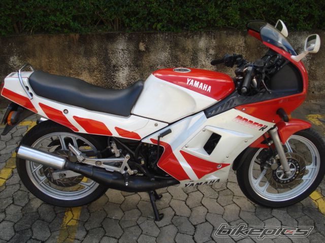 1991 YAMAHA RD350LC | Picture 1776985 motorcycle photo