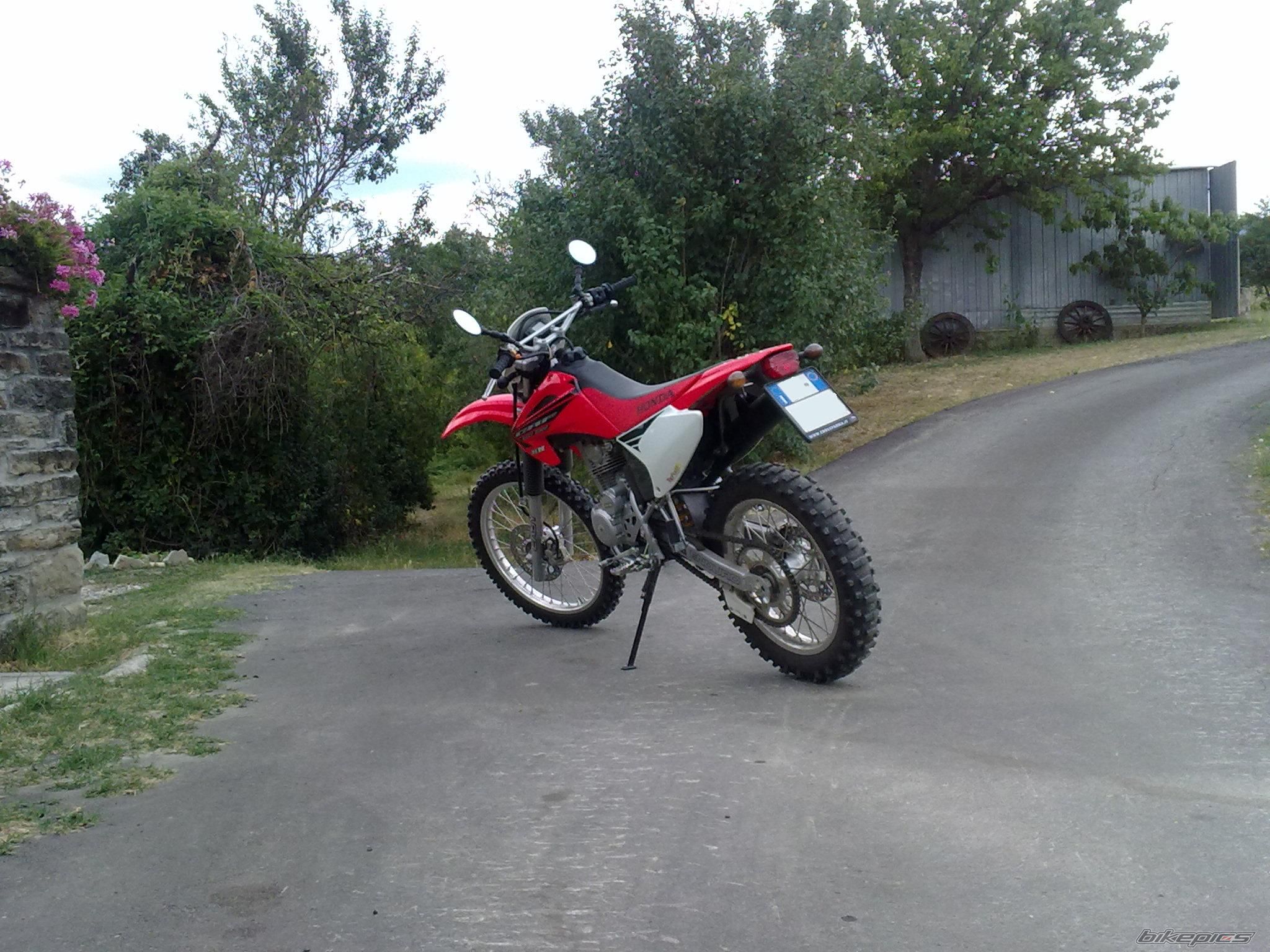 2009 HONDA CRF 230 | Picture 1777307 motorcycle photo