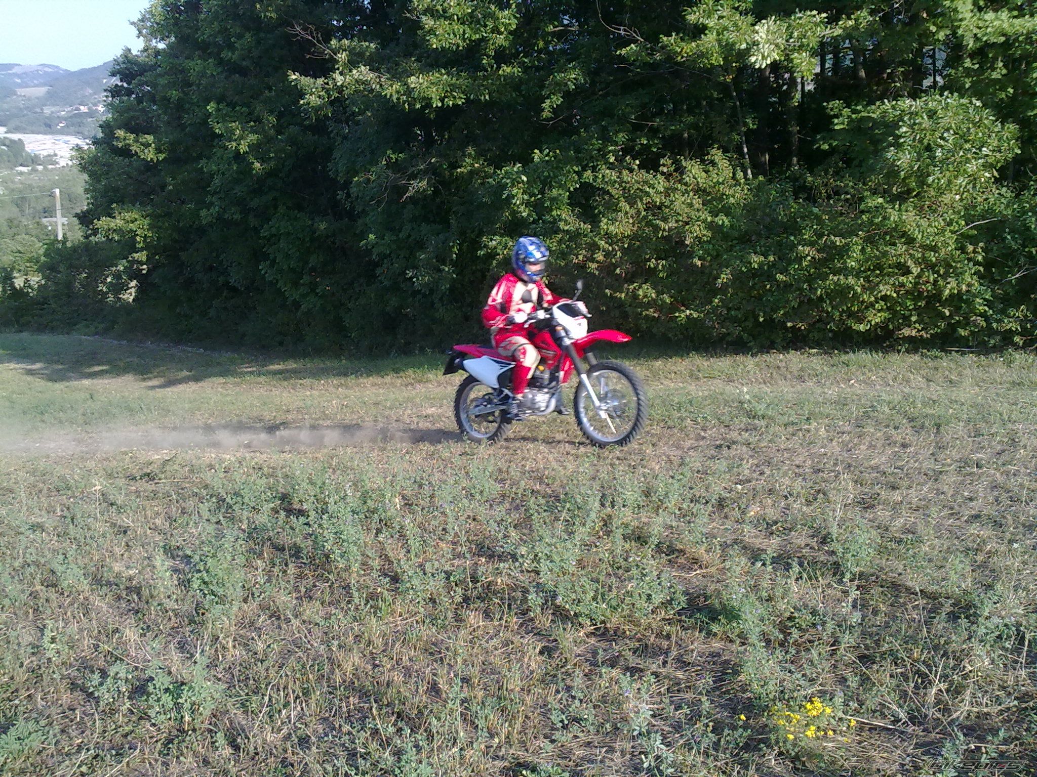 2009 HONDA CRF 230 | Picture 1777309 motorcycle photo