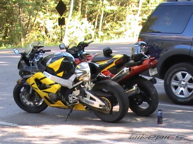 2001 HONDA CBR 900 | Picture 1777388 motorcycle photo