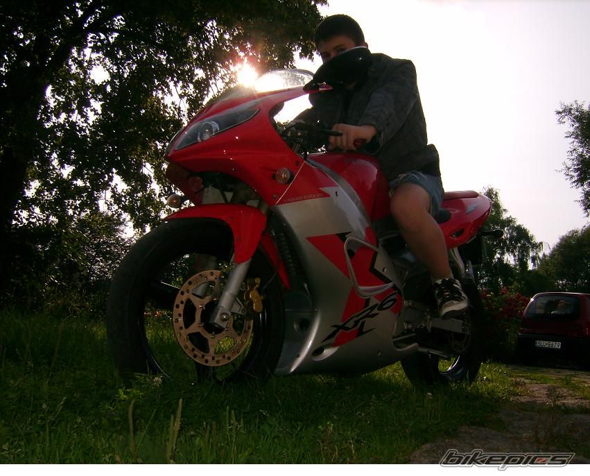2005 PEUGEOT XR6 | Picture 1777551 motorcycle photo