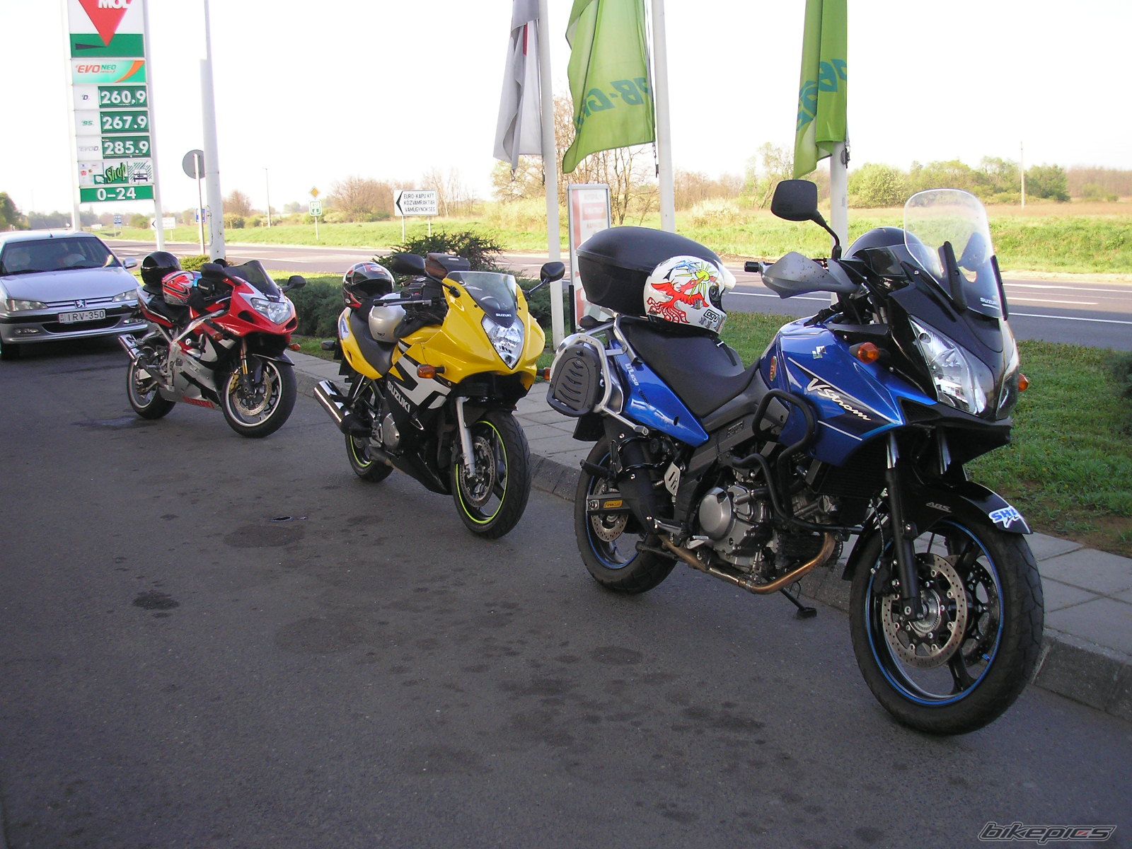 2008 SUZUKI DL 650 | Picture 1777834 motorcycle photo