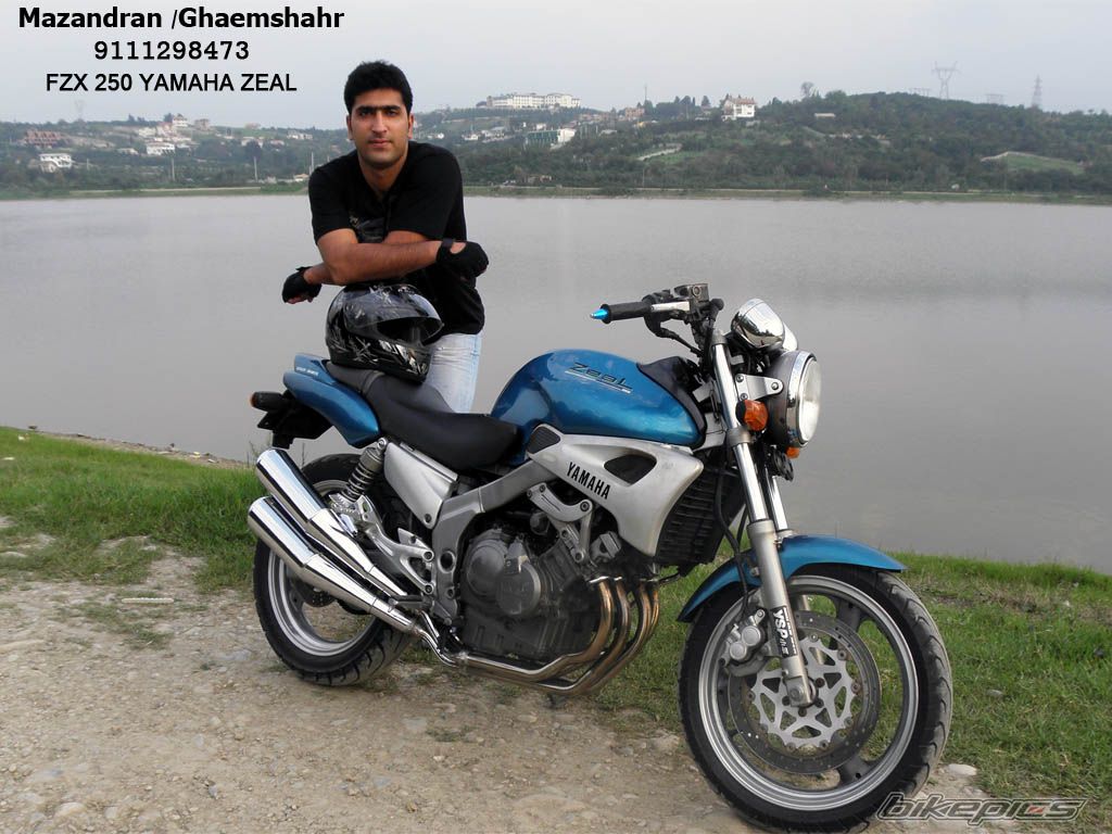 1998 YAMAHA FZX 250 | Picture 1778493 motorcycle photo