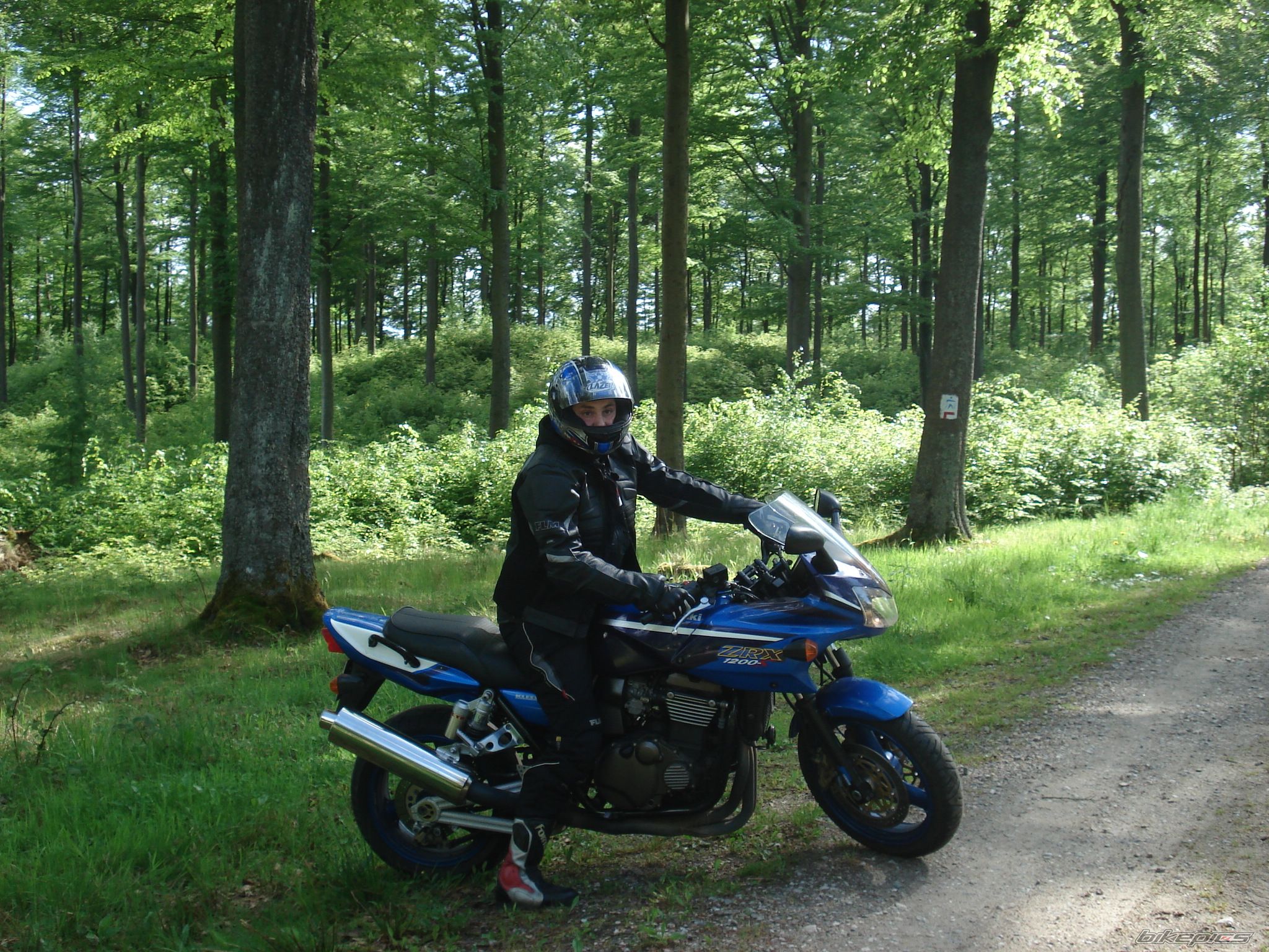 2001 KAWASAKI ZRX 1200S | Picture 1778758 motorcycle photo