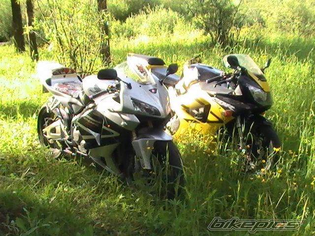 2001 HONDA CBR 900 | Picture 1778805 motorcycle photo