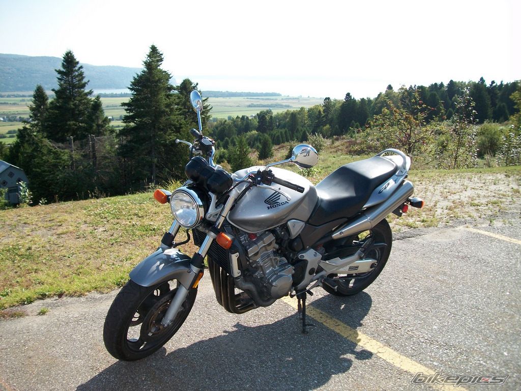2002 HONDA CB 900 | Picture 1778962 motorcycle photo