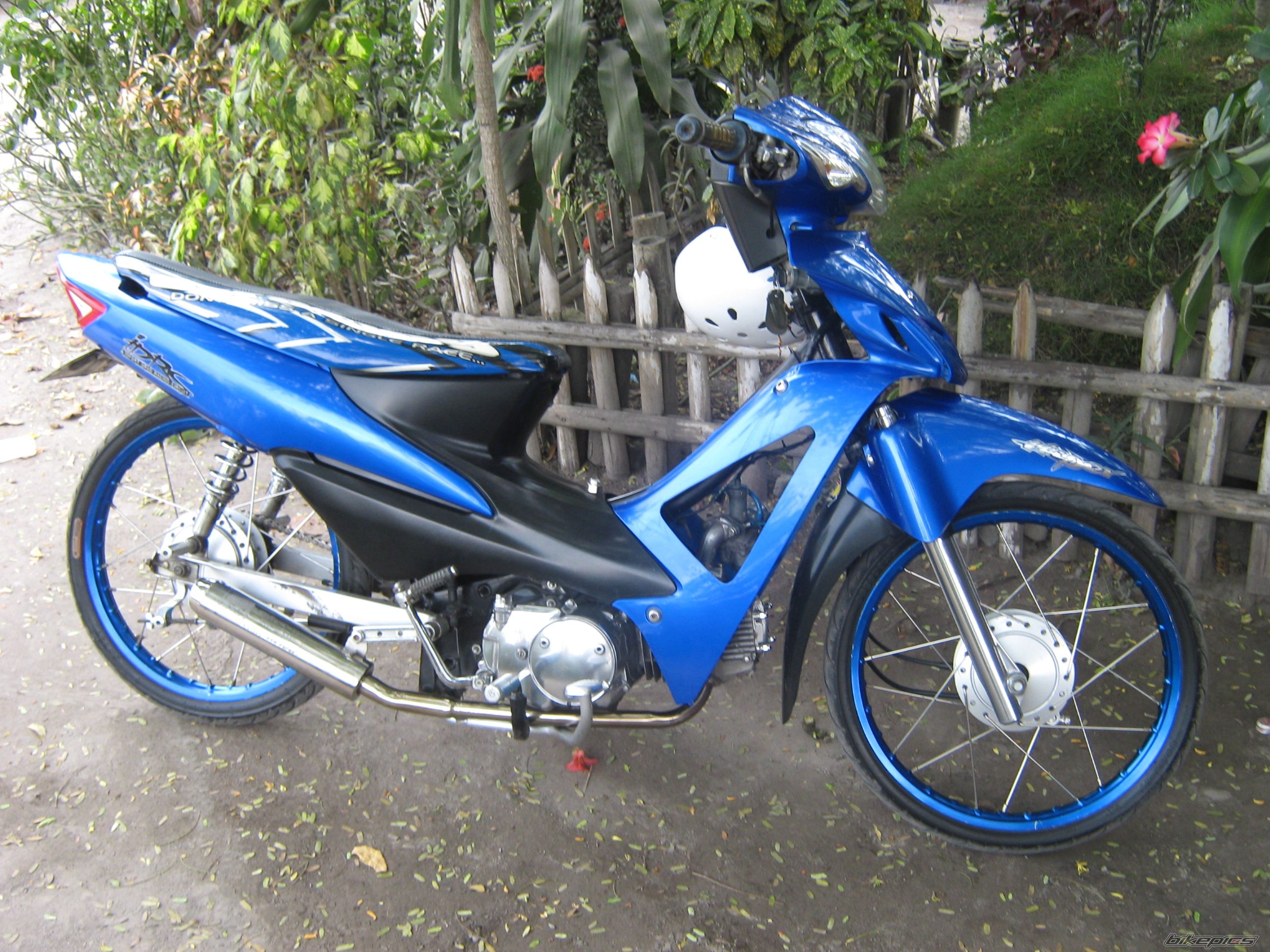 2010 HONDA WAVE 100 | Picture 1779313 motorcycle photo