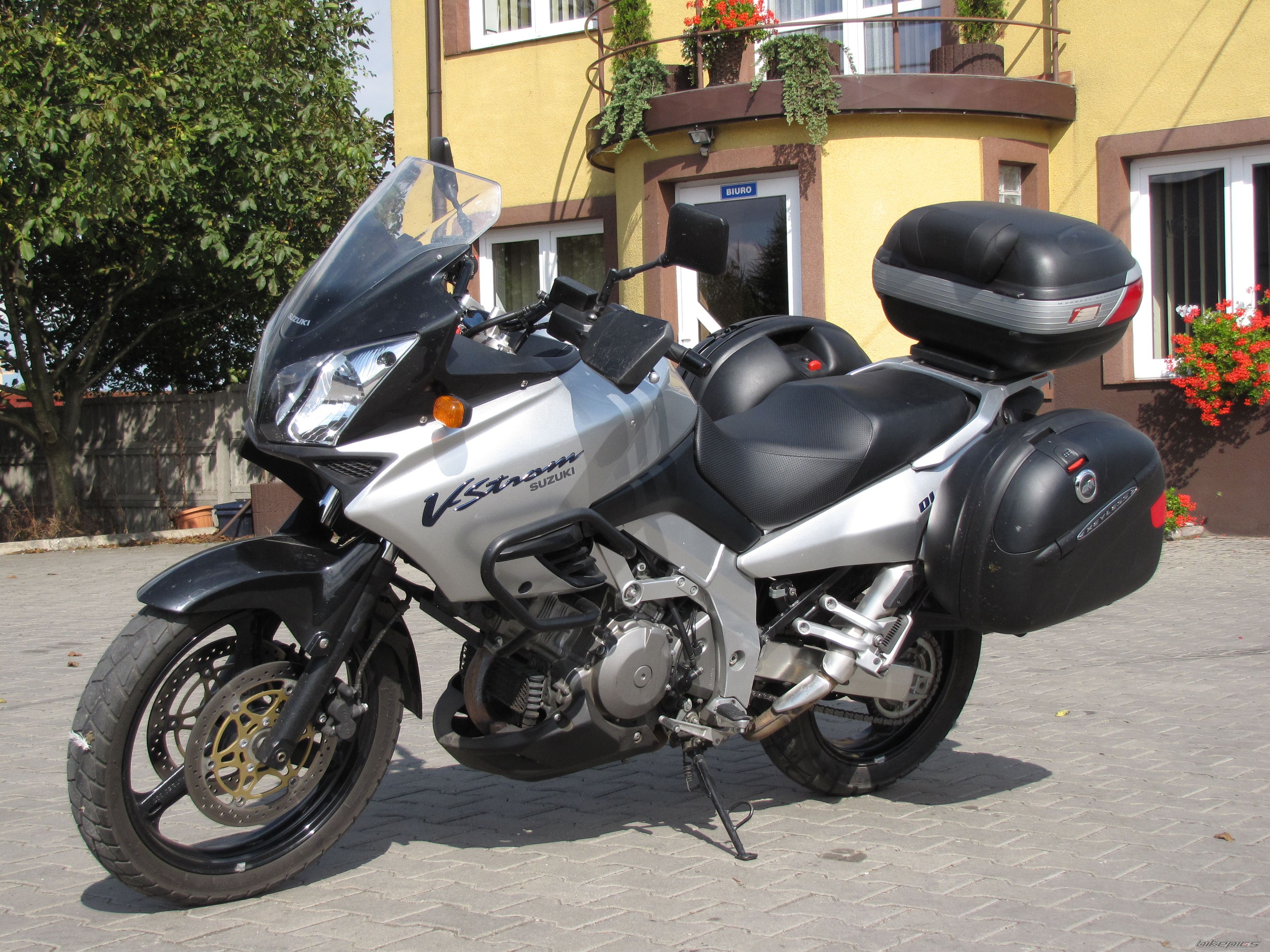2003 SUZUKI DL 1000 | Picture 1779408 motorcycle photo