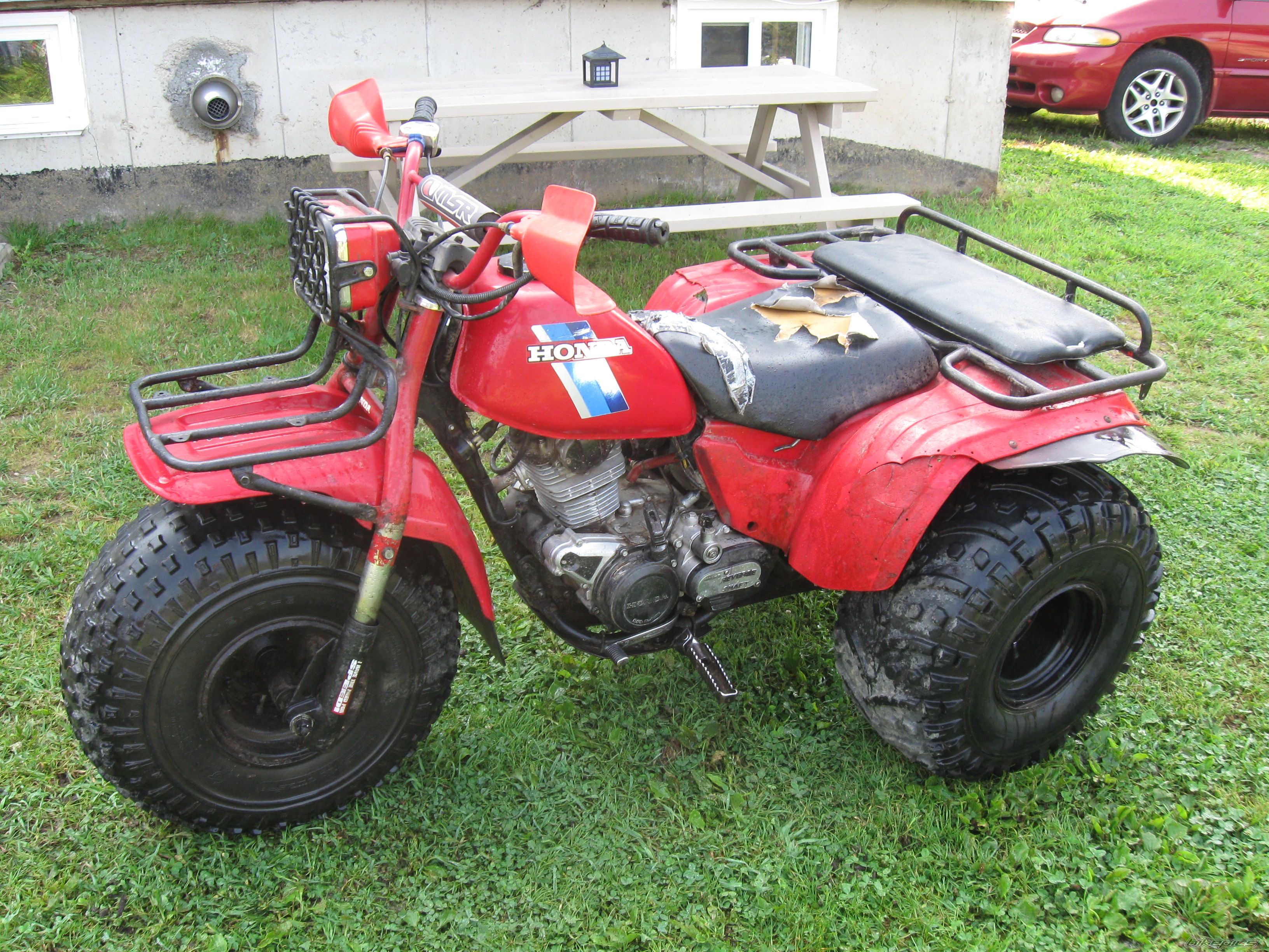 1984 HONDA ATC 200 | Picture 1780147 motorcycle photo