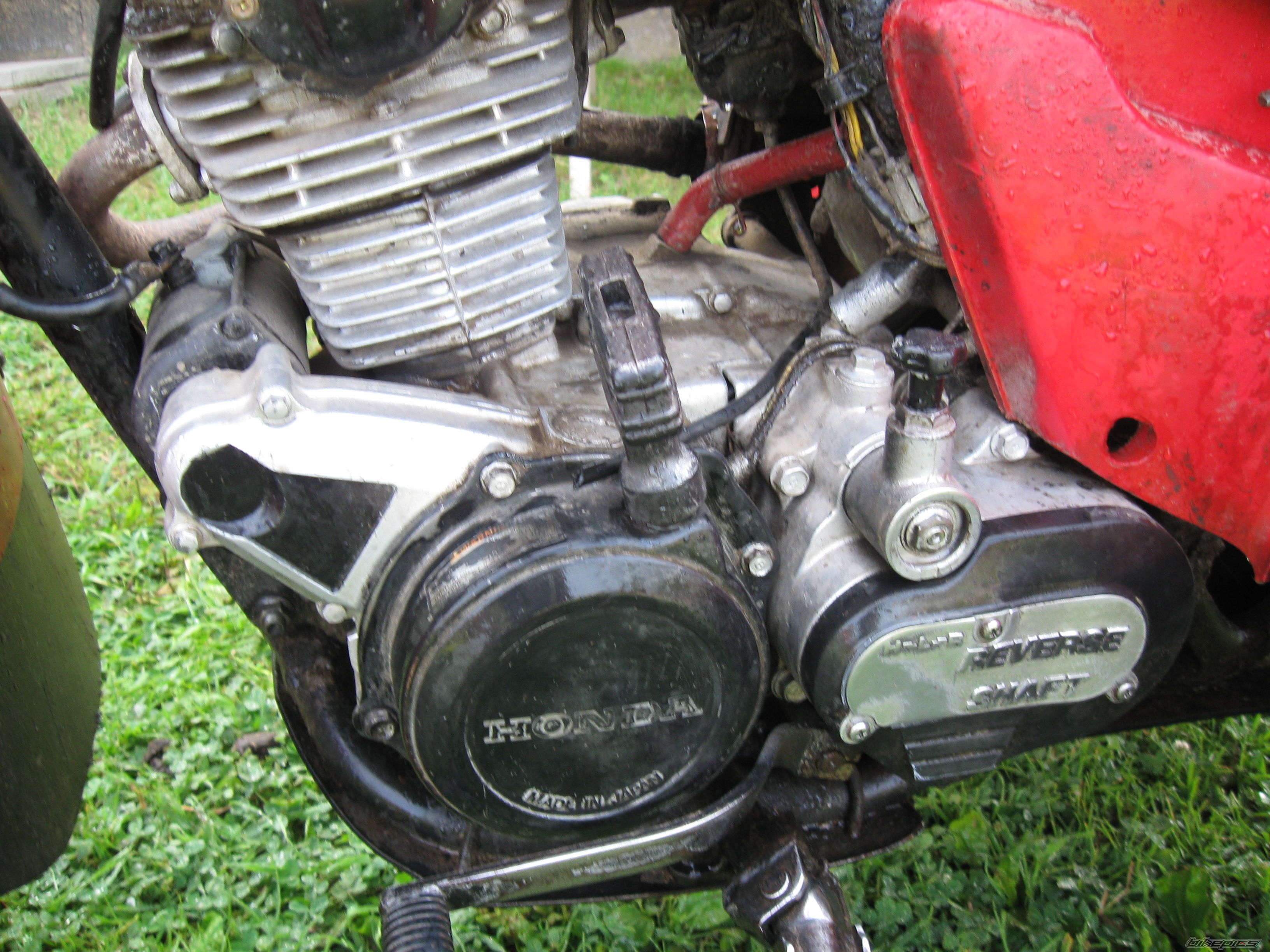 1984 HONDA ATC 200 | Picture 1780152 motorcycle photo