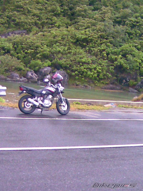 2009 YAMAHA SCORPIO 225 | Picture 1780406 motorcycle photo