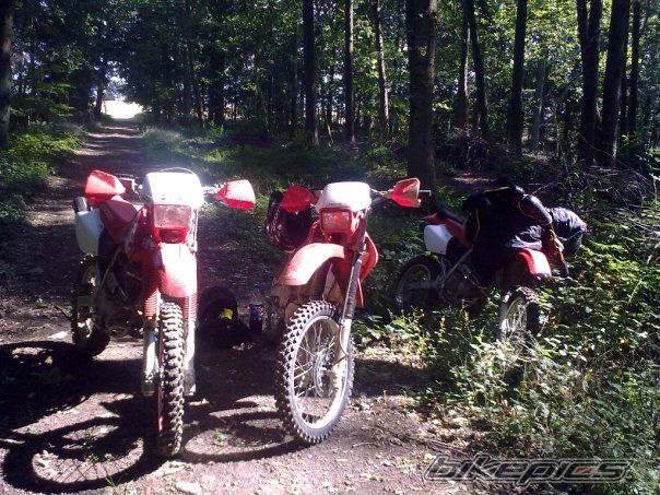 2002 HONDA XR 400 | Picture 1780671 motorcycle photo