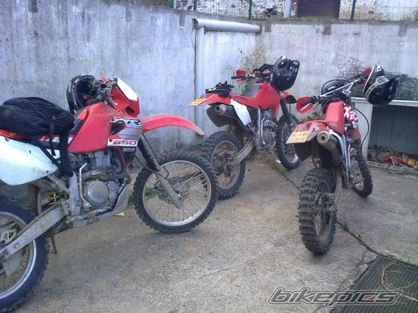 2002 HONDA XR 400 | Picture 1780674 motorcycle photo
