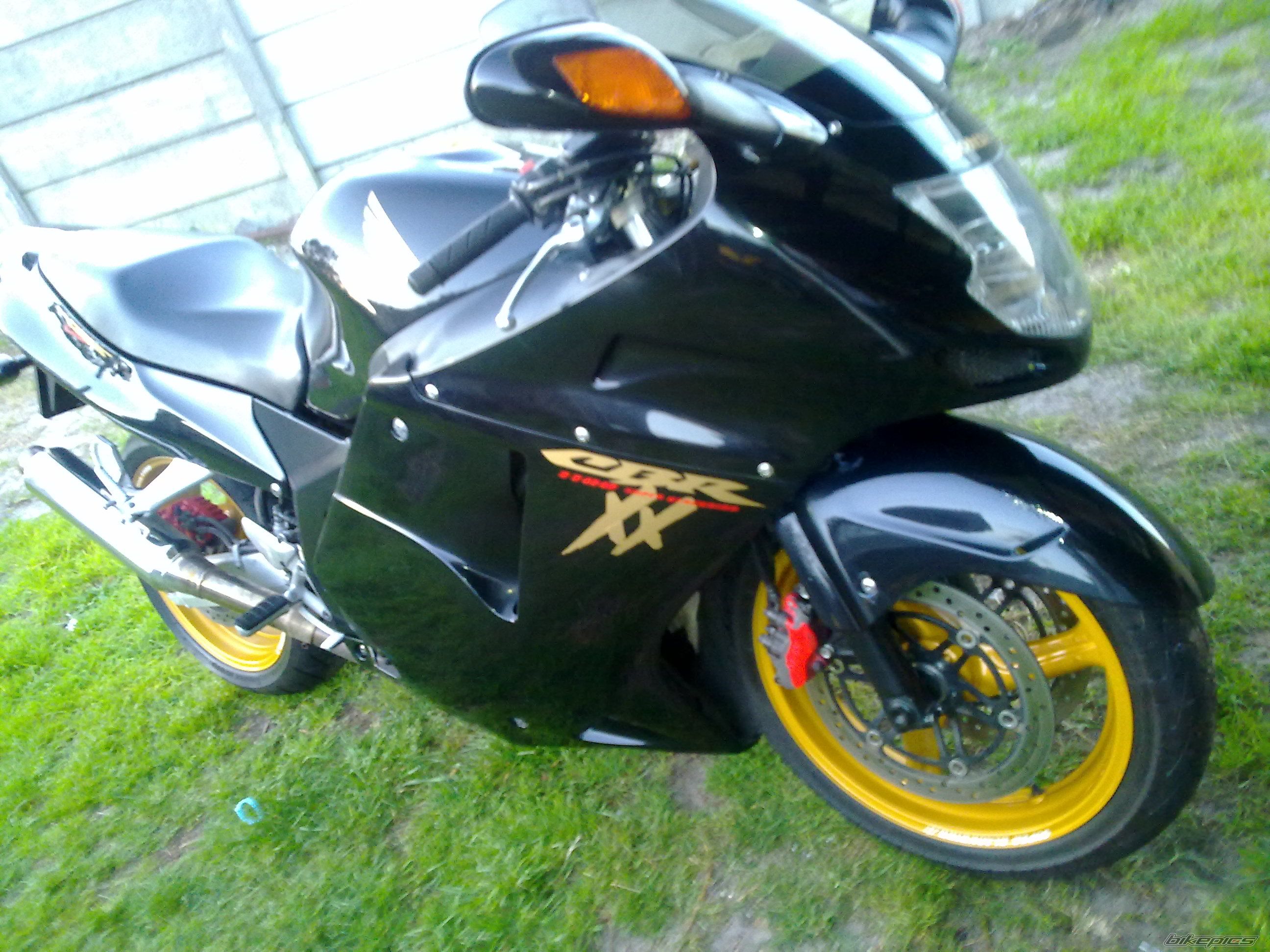 1998 HONDA CBR 1100 BLACKBIRD | Picture 1780850 motorcycle photo