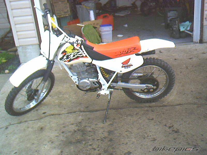 1998 HONDA XR 100 | Picture 178097 motorcycle photo