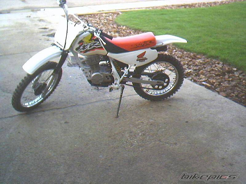 1998 HONDA XR 100 | Picture 178098 motorcycle photo
