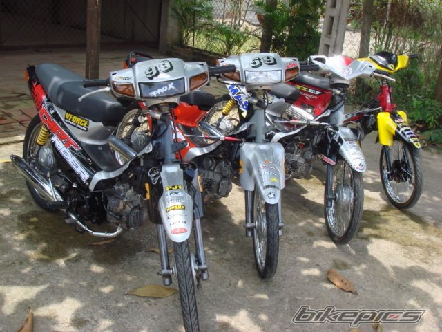 2009 HONDA HONDA NOVA TENA 110 | Picture 1781168 motorcycle photo