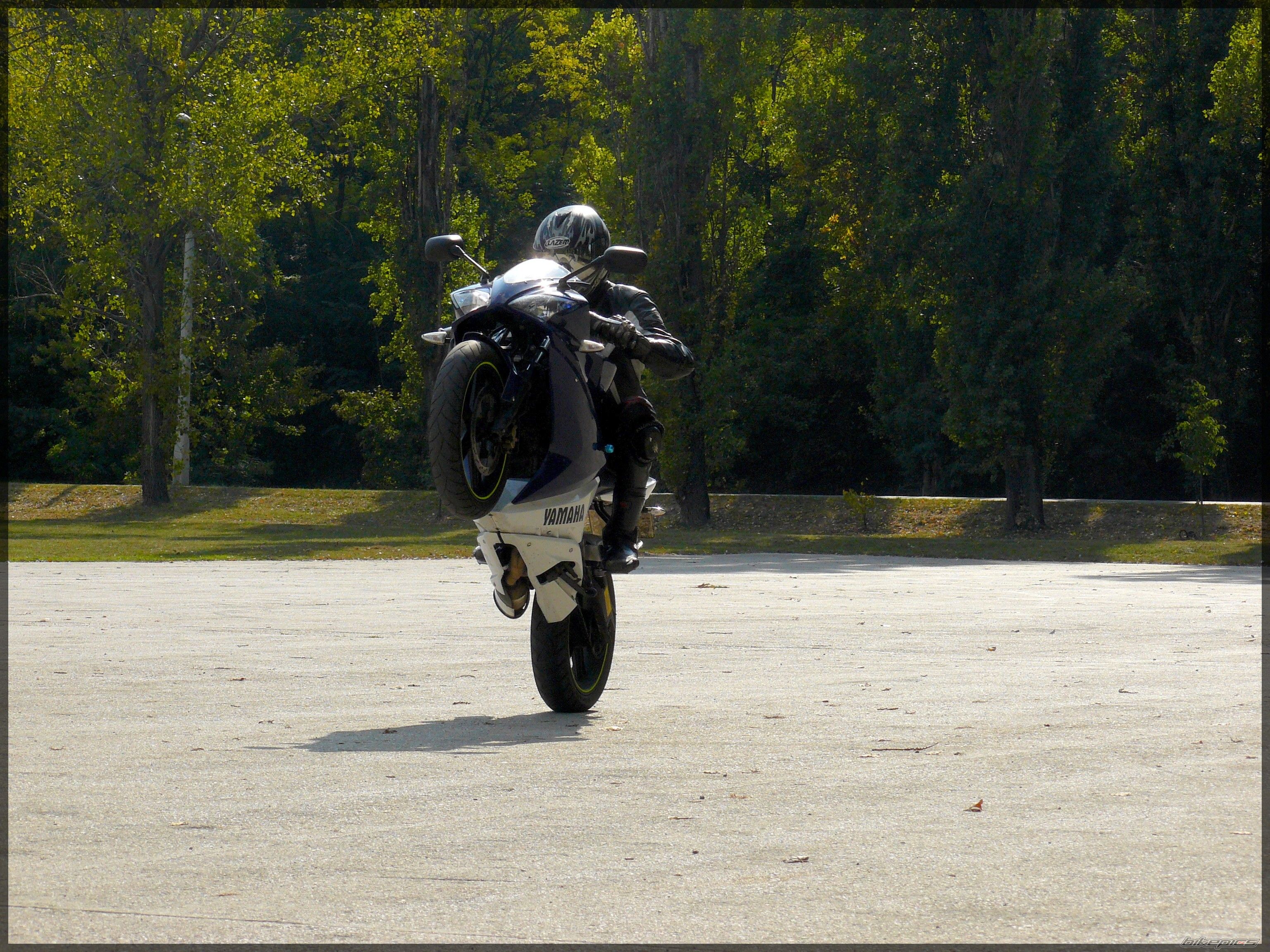 2008 YAMAHA YZF R125 | Picture 1781355 motorcycle photo