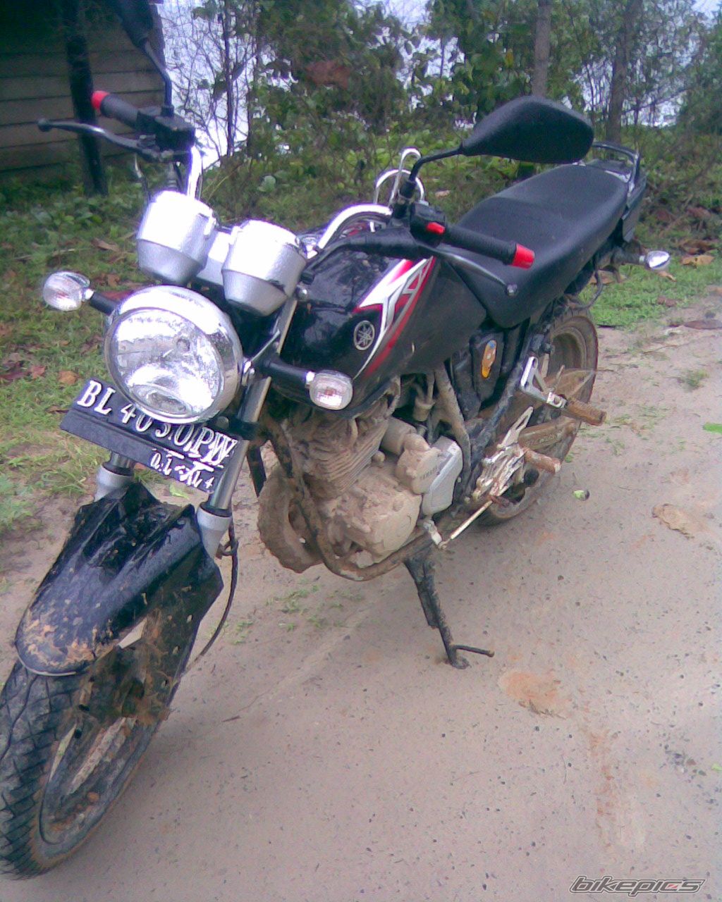 2009 YAMAHA SCORPIO 225 | Picture 1781489 motorcycle photo