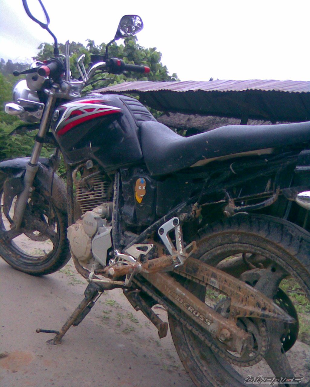2009 YAMAHA SCORPIO 225 | Picture 1781494 motorcycle photo