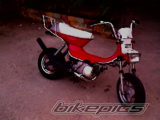 2004 SUZUKI LANDIE | Picture 1781990 motorcycle photo
