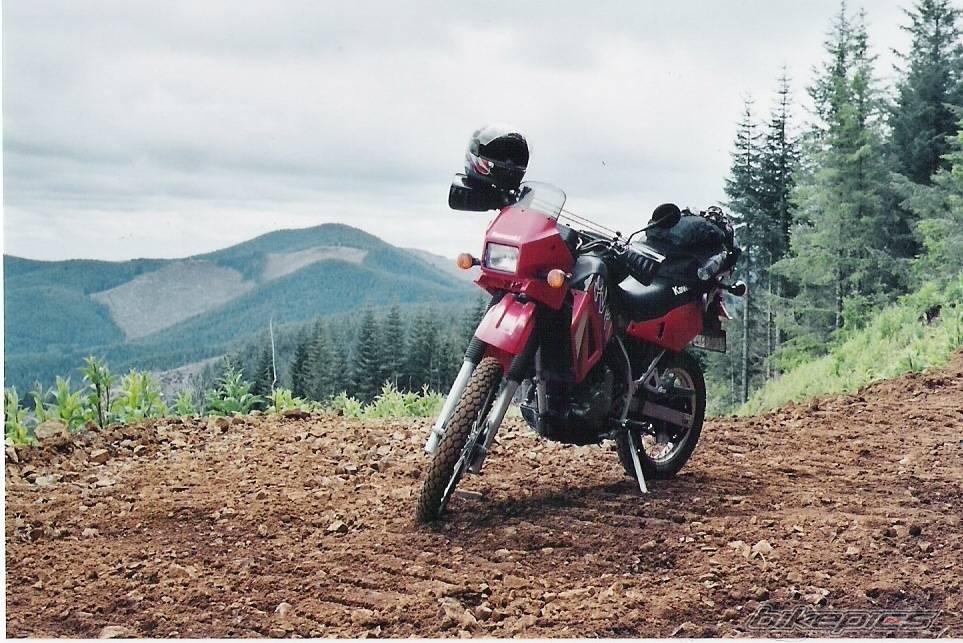 2004 KAWASAKI KLR 650 | Picture 178207 motorcycle photo