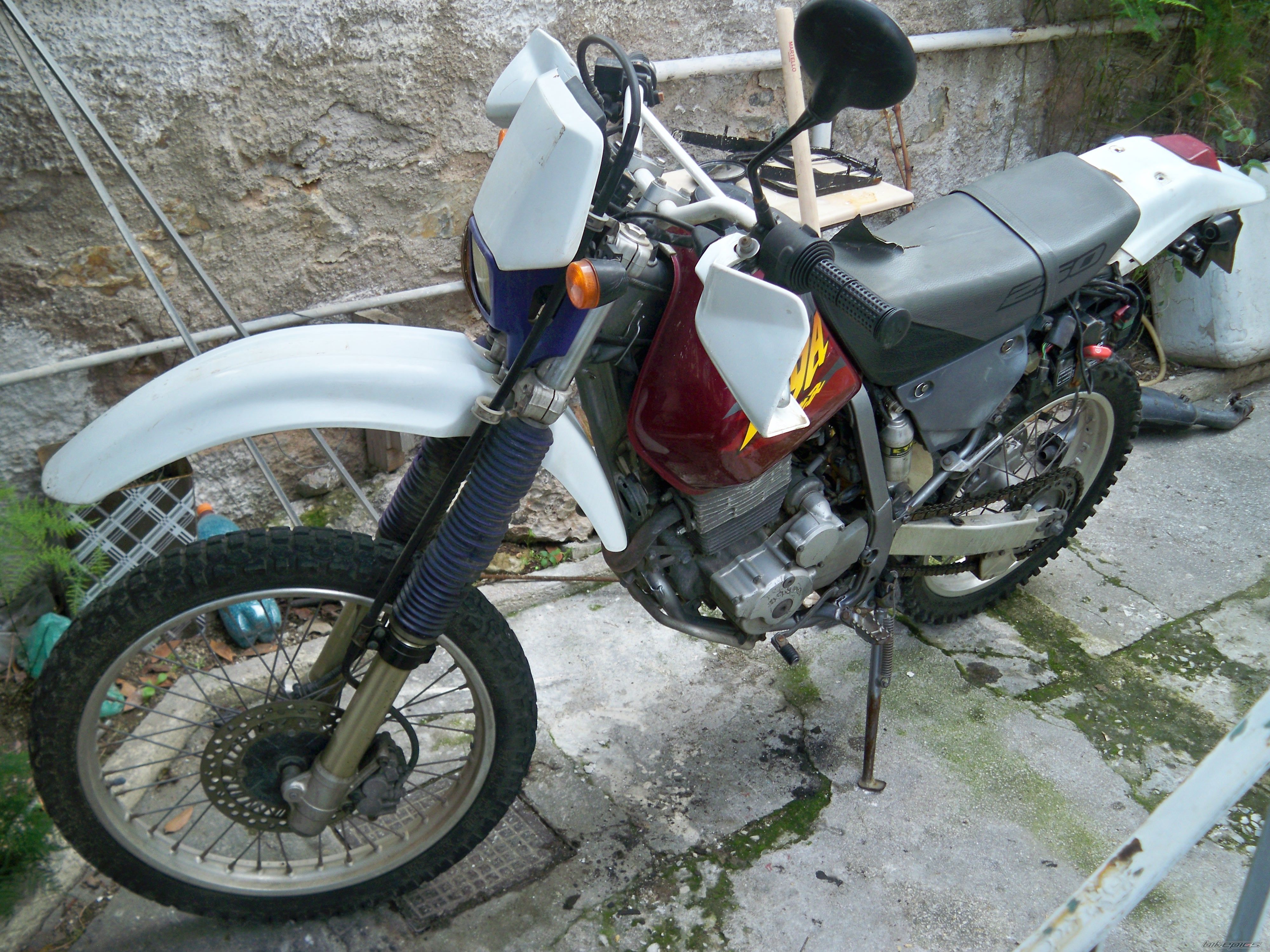 2000 HONDA XR 250 | Picture 1782218 motorcycle photo