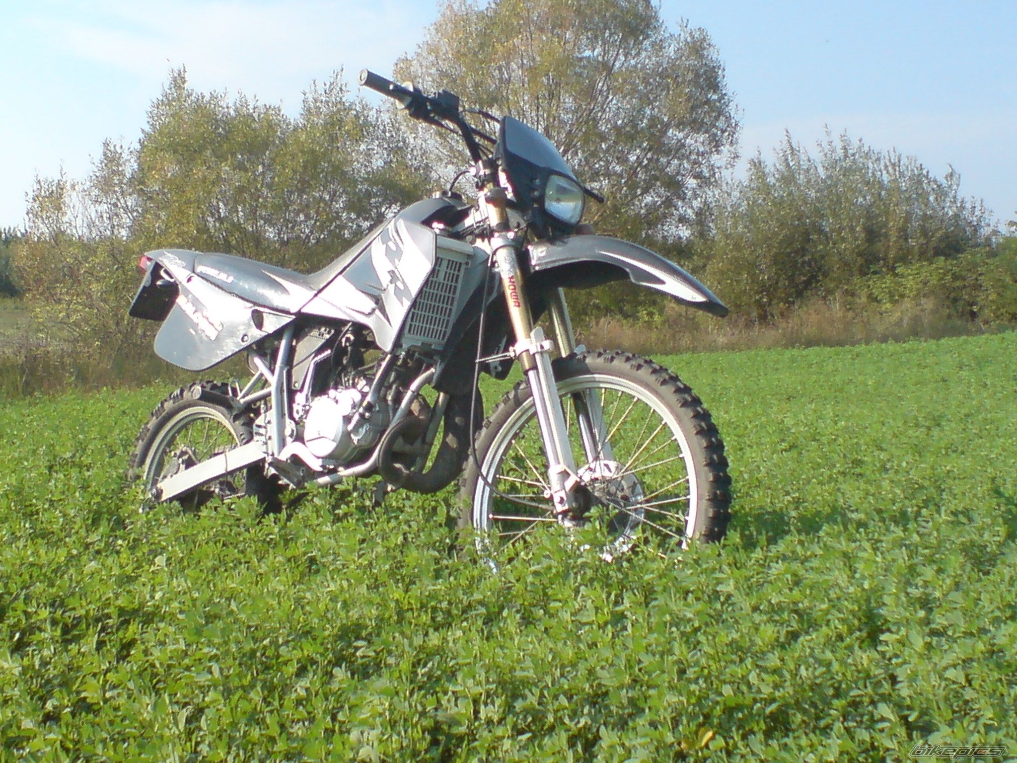 2008 RIEJU RR 50 | Picture 1782230 motorcycle photo
