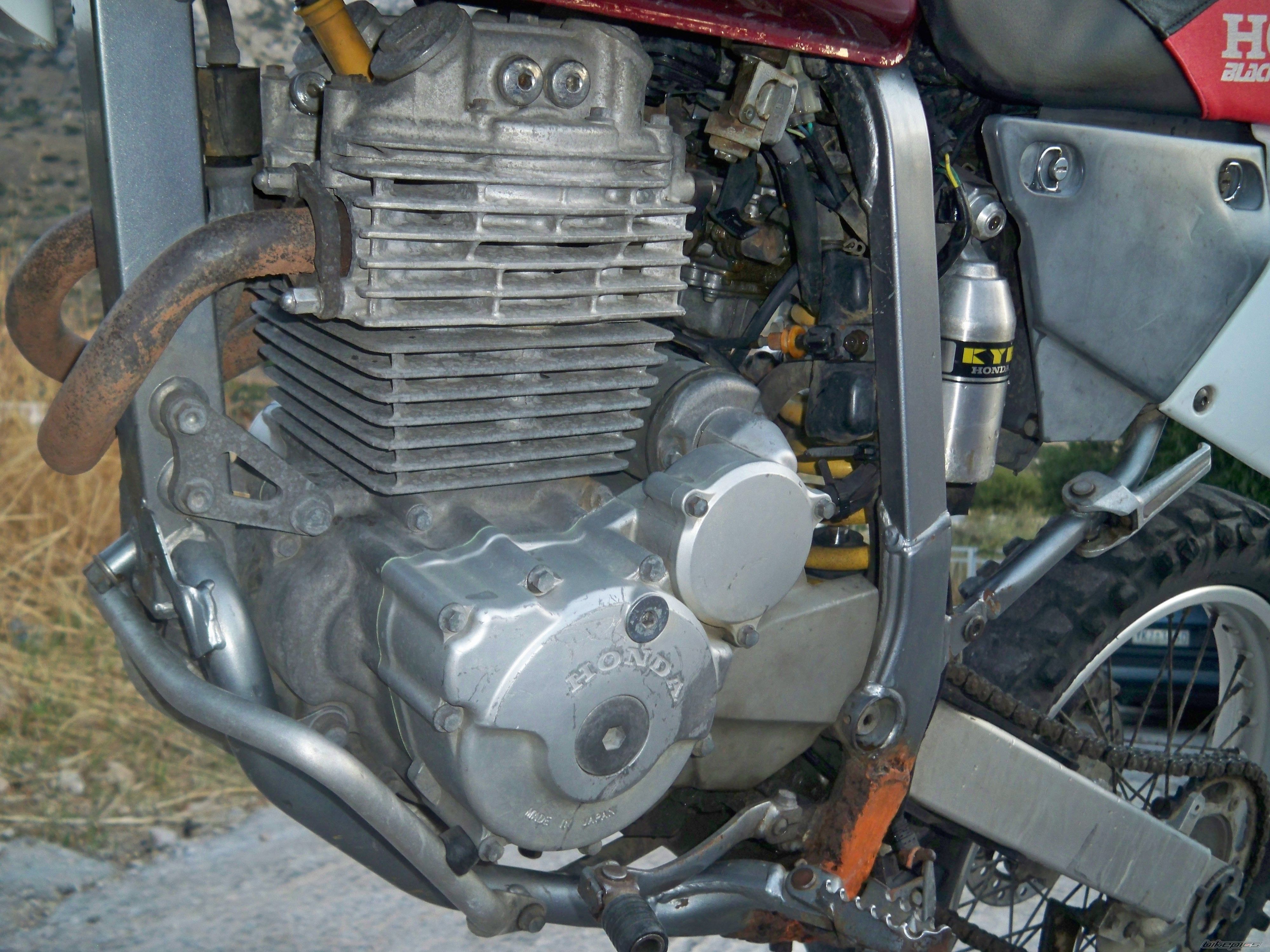2000 HONDA XR 250 | Picture 1783214 motorcycle photo