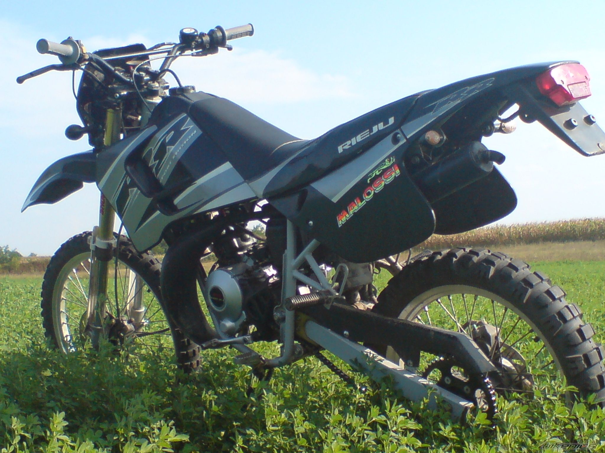 2008 RIEJU RR 50 | Picture 1783470 motorcycle photo