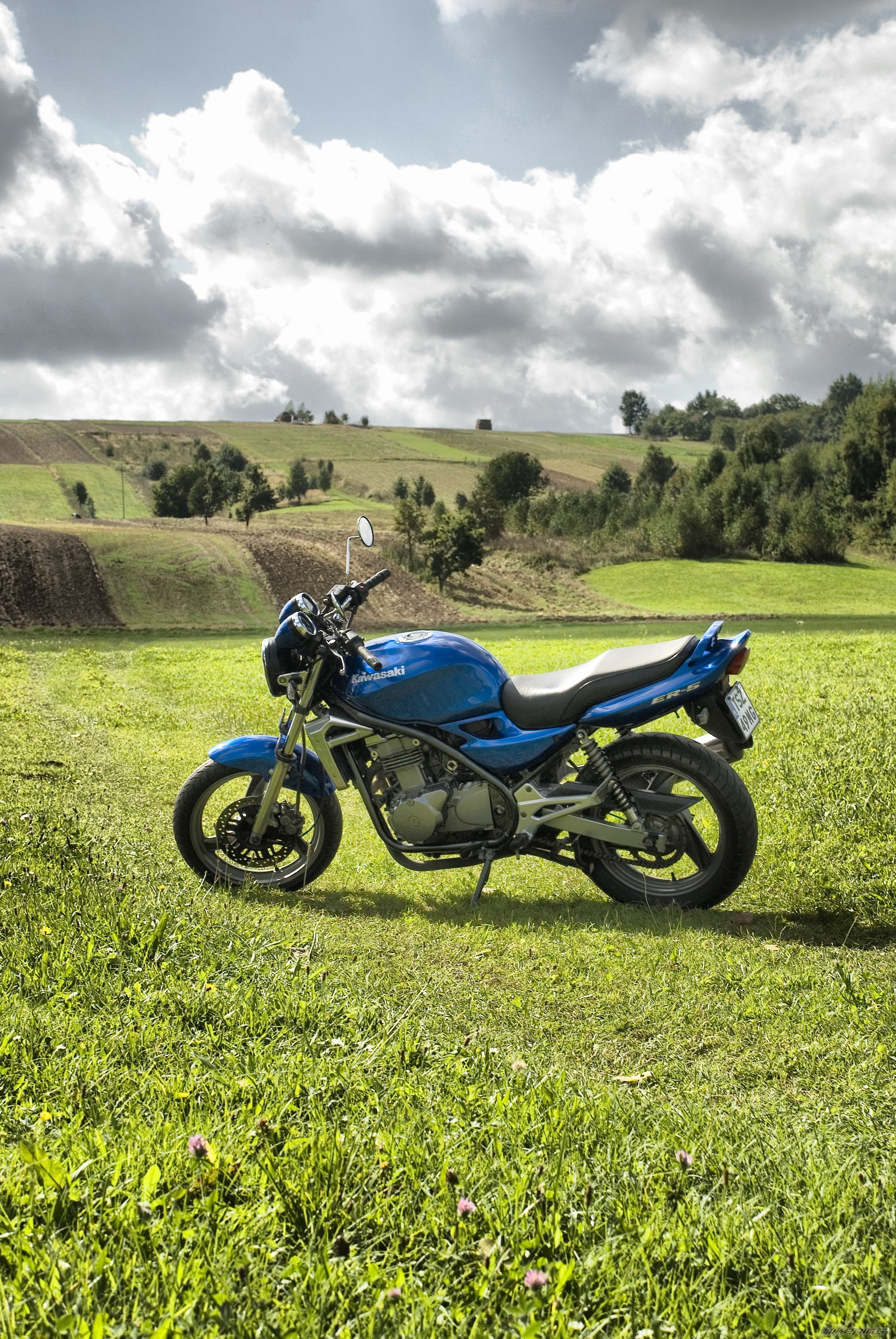 2001 KAWASAKI ER5 | Picture 1783663 motorcycle photo
