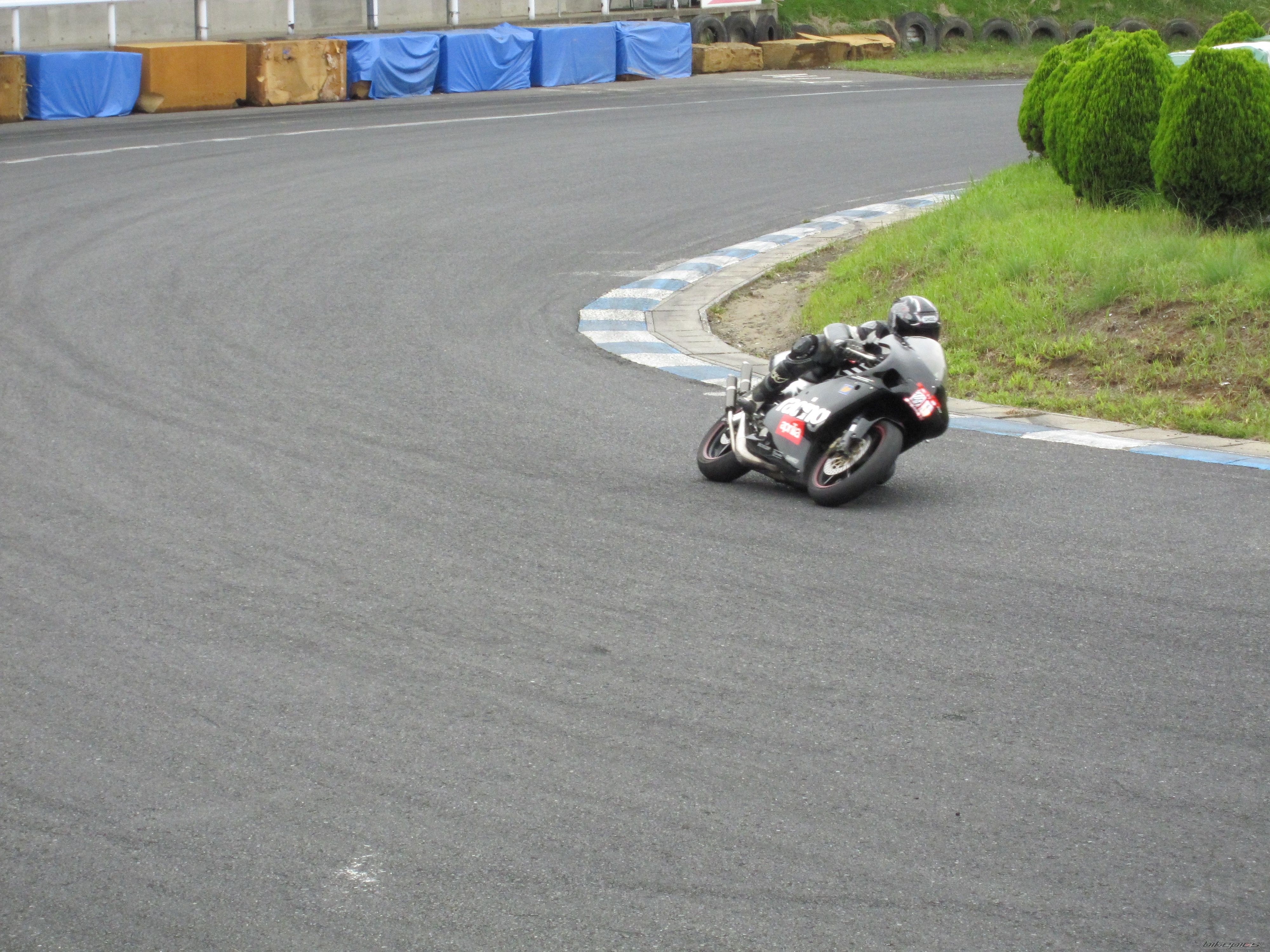 1998 APRILIA RS 250 | Picture 1783731 motorcycle photo