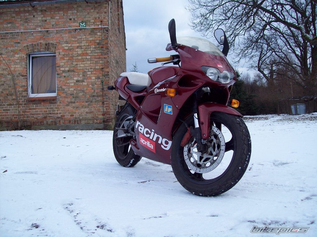 2000 APRILIA RS 125 | Picture 1783945 motorcycle photo