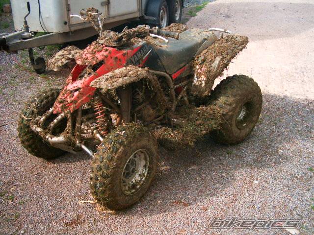 2004 YAMAHA BLASTER | Picture 178424 motorcycle photo