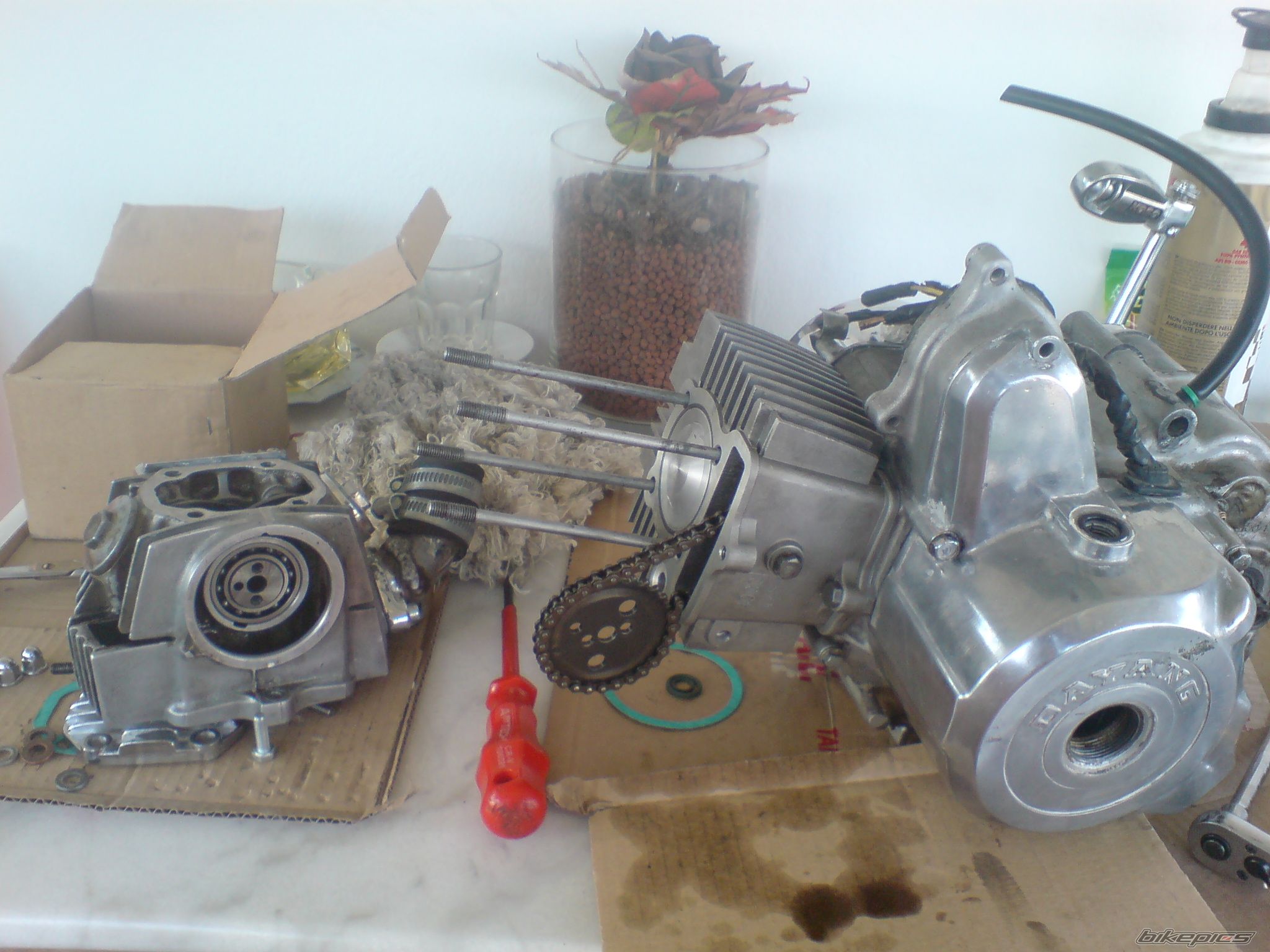 2010 HONDA GLX 50 | Picture 1784592 motorcycle photo