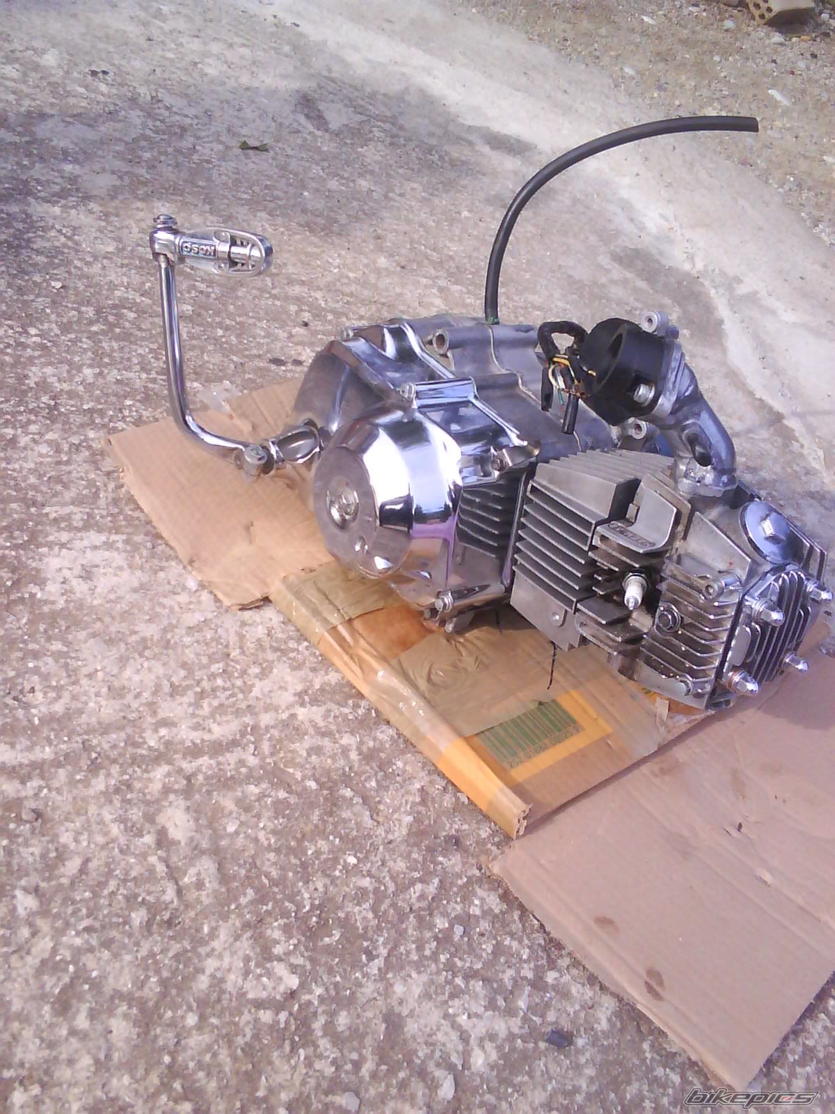 2010 HONDA GLX 50 | Picture 1784606 motorcycle photo