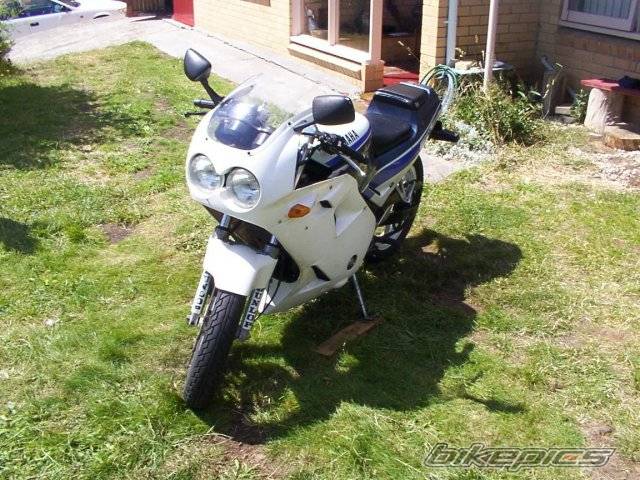 1989 YAMAHA FZR 250 | Picture 17852 motorcycle photo