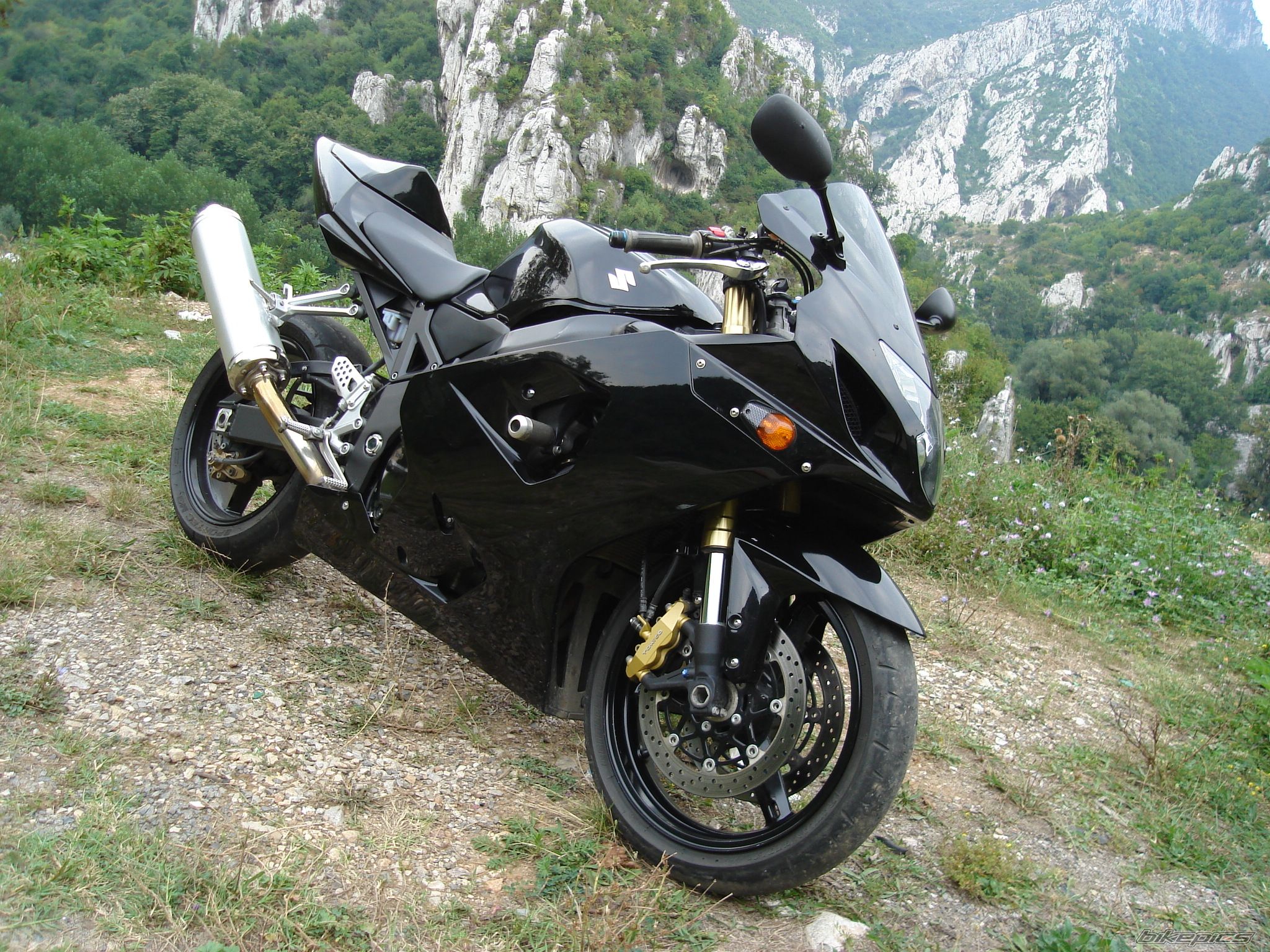 2005 SUZUKI GSX R 600 | Picture 1785680 motorcycle photo
