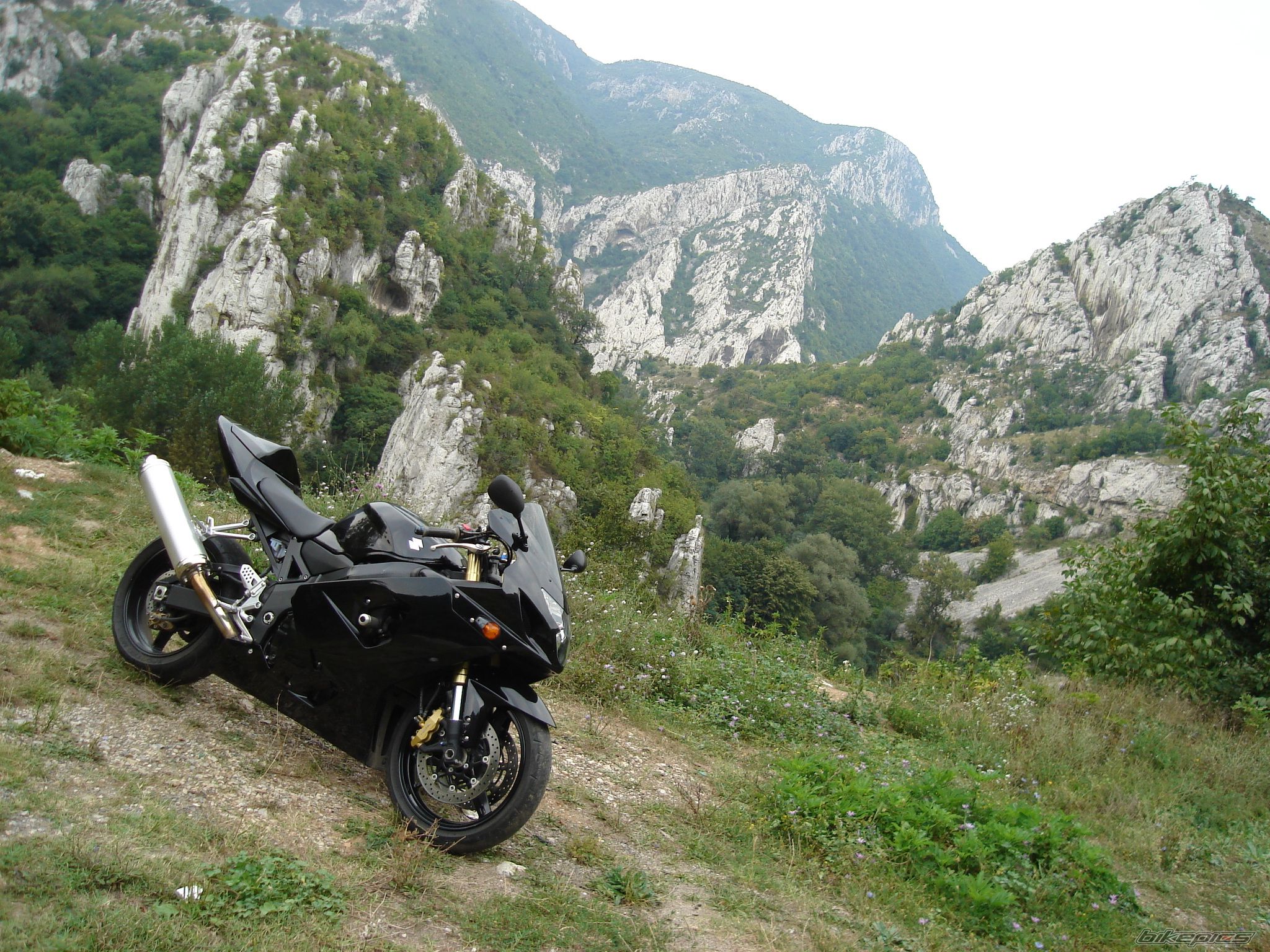 2005 SUZUKI GSX R 600 | Picture 1785682 motorcycle photo
