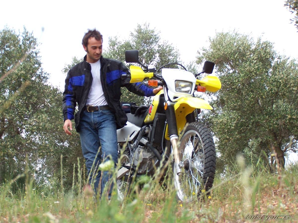 2003 SUZUKI DR 650 | Picture 178575 motorcycle photo