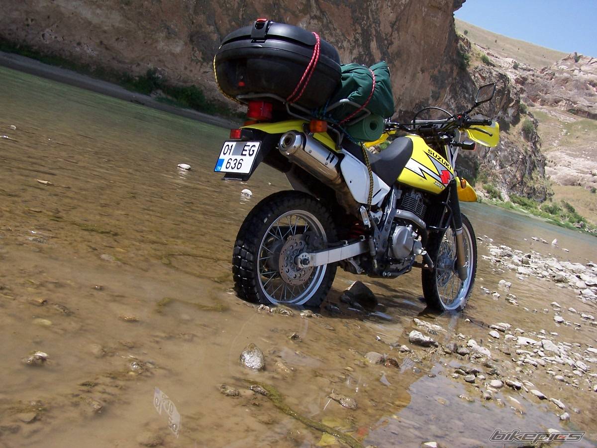 2003 SUZUKI DR 650 | Picture 178578 motorcycle photo
