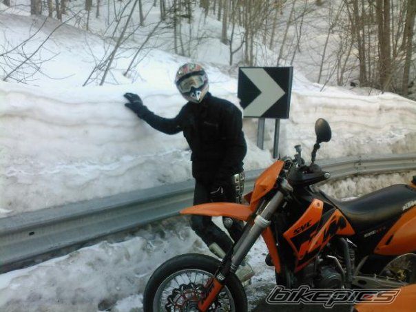 2004 KTM 660 SMC | Picture 1786139 motorcycle photo