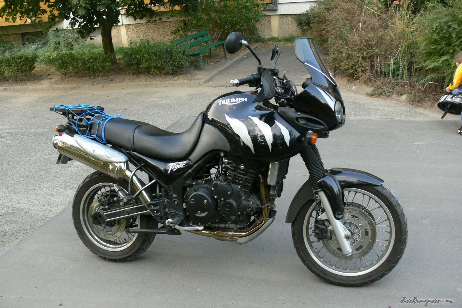 2002 TRIUMPH TIGER | Picture 1786269 motorcycle photo
