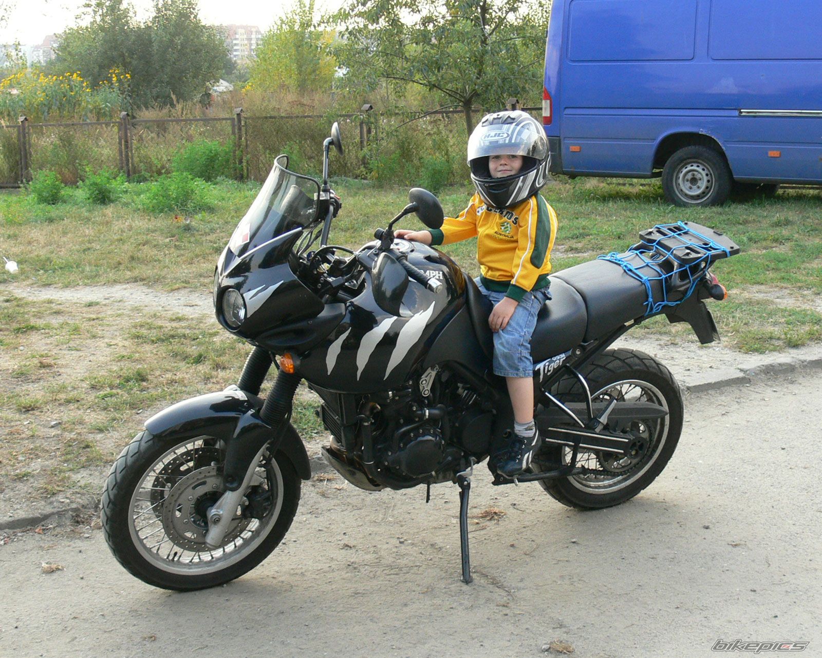 2002 TRIUMPH TIGER | Picture 1786272 motorcycle photo
