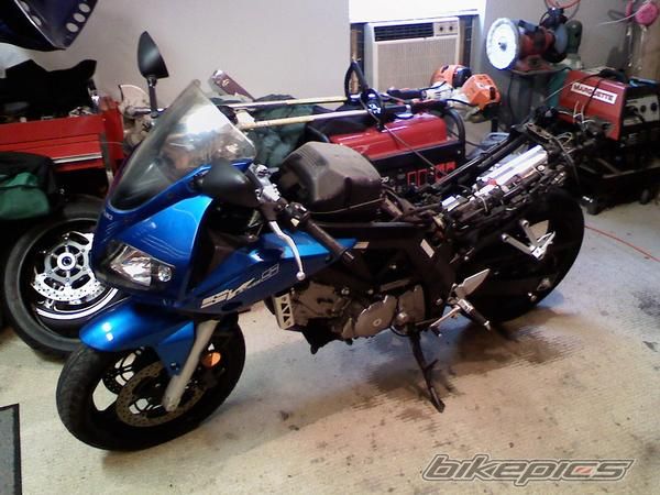 2006 SUZUKI SV 650S | Picture 1787006 motorcycle photo