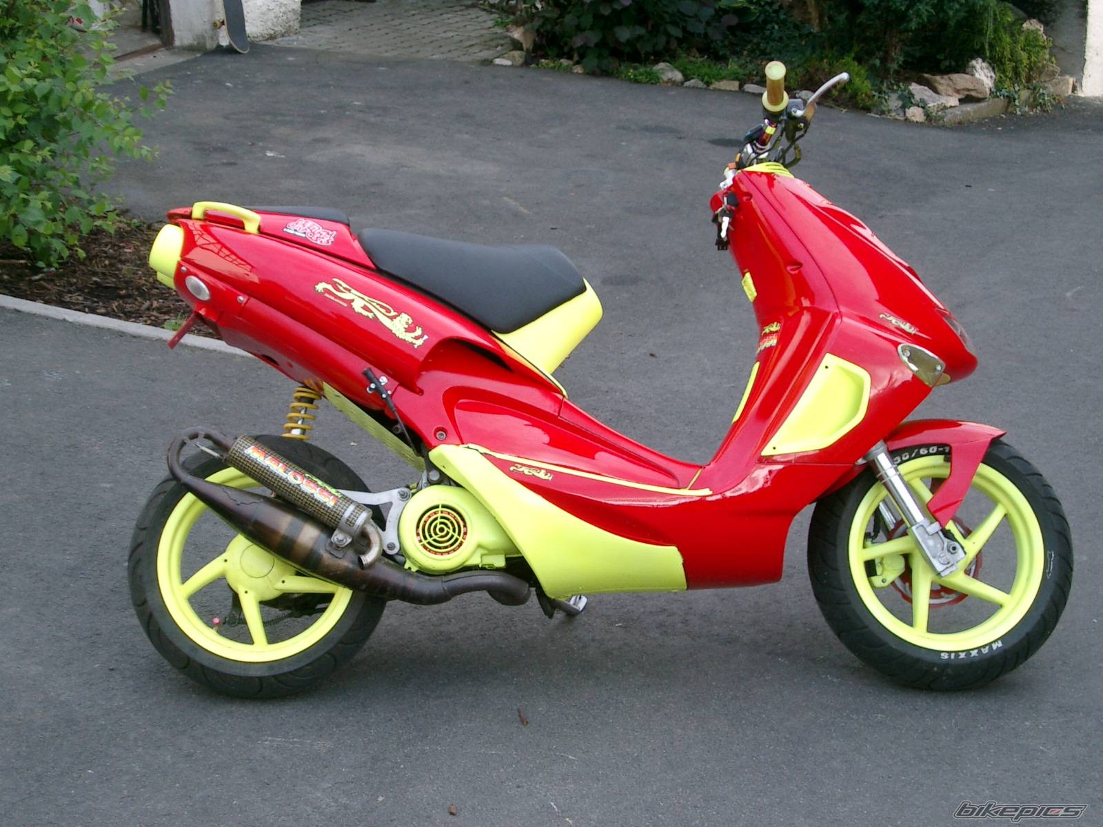 2000 APRILIA SR WWW 50 | Picture 178705 motorcycle photo