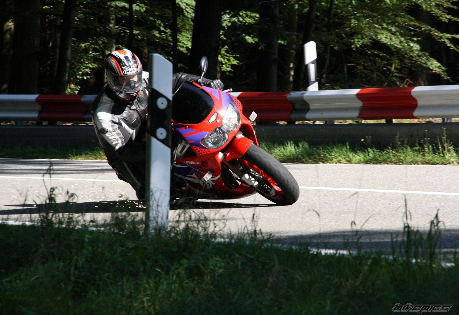 1995 HONDA CBR 900 | Picture 1787061 motorcycle photo